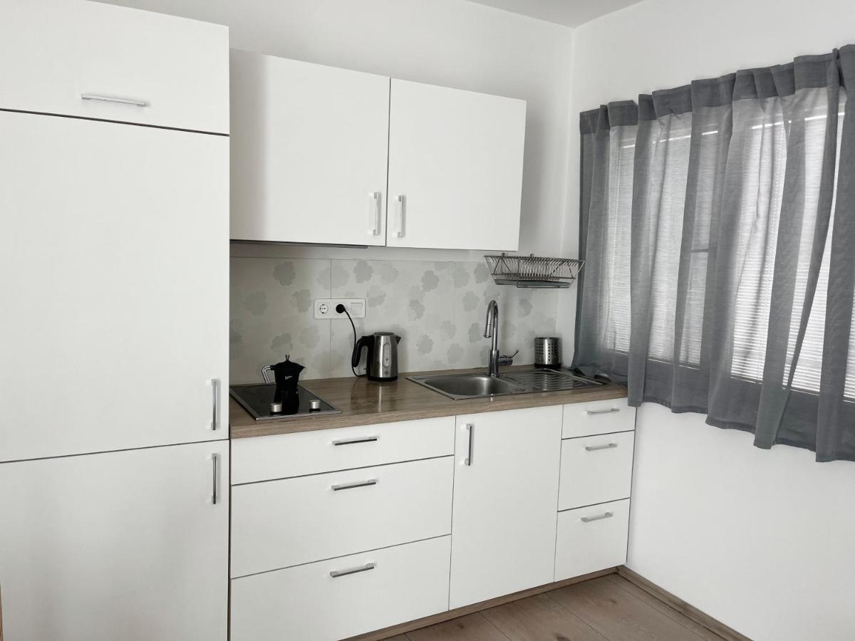 卢布尔雅那Renovated City Center Apt End Of Sept 23公寓 外观 照片